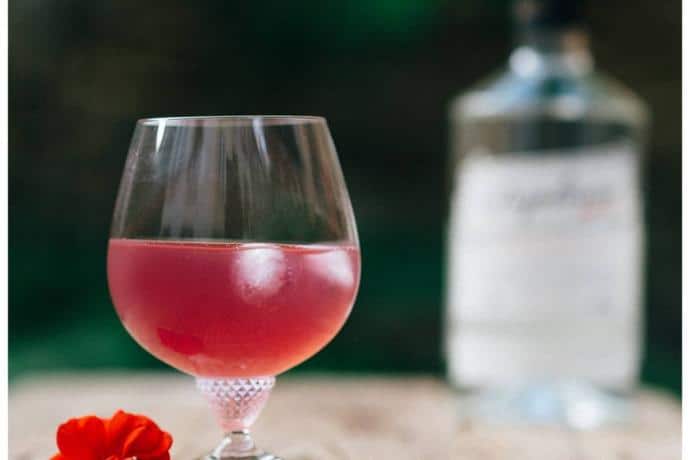 diplome dry gin cocktail fraises basilic