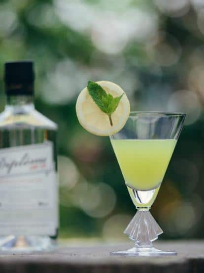 diplome dry gin cocktail d'été
