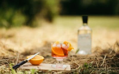 Spiritueux et cocktails d’été – 2ème partie