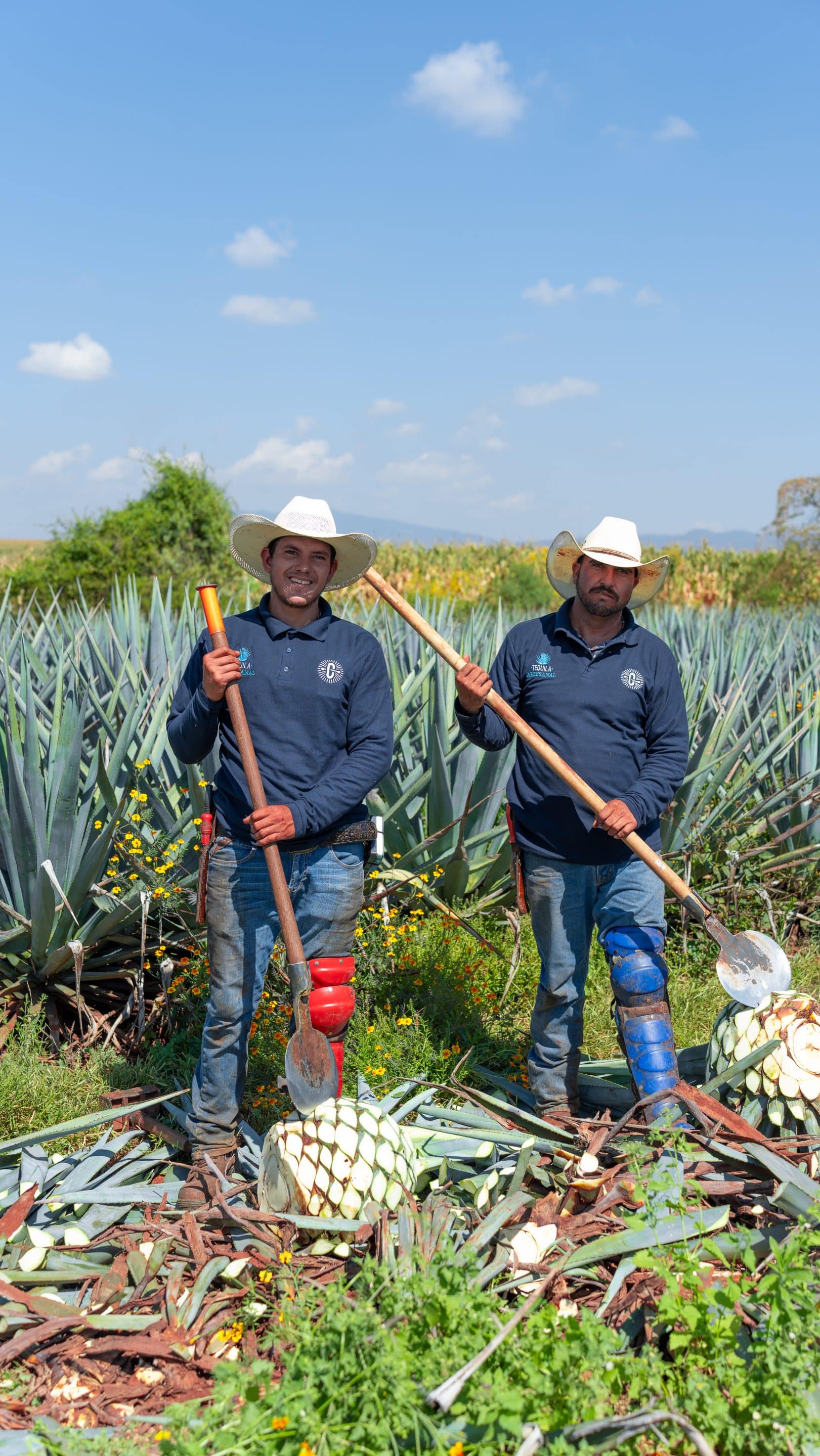 Cazcabel Agave Fields – 2 x Jimadors