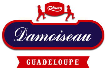 Logo Damoiseau